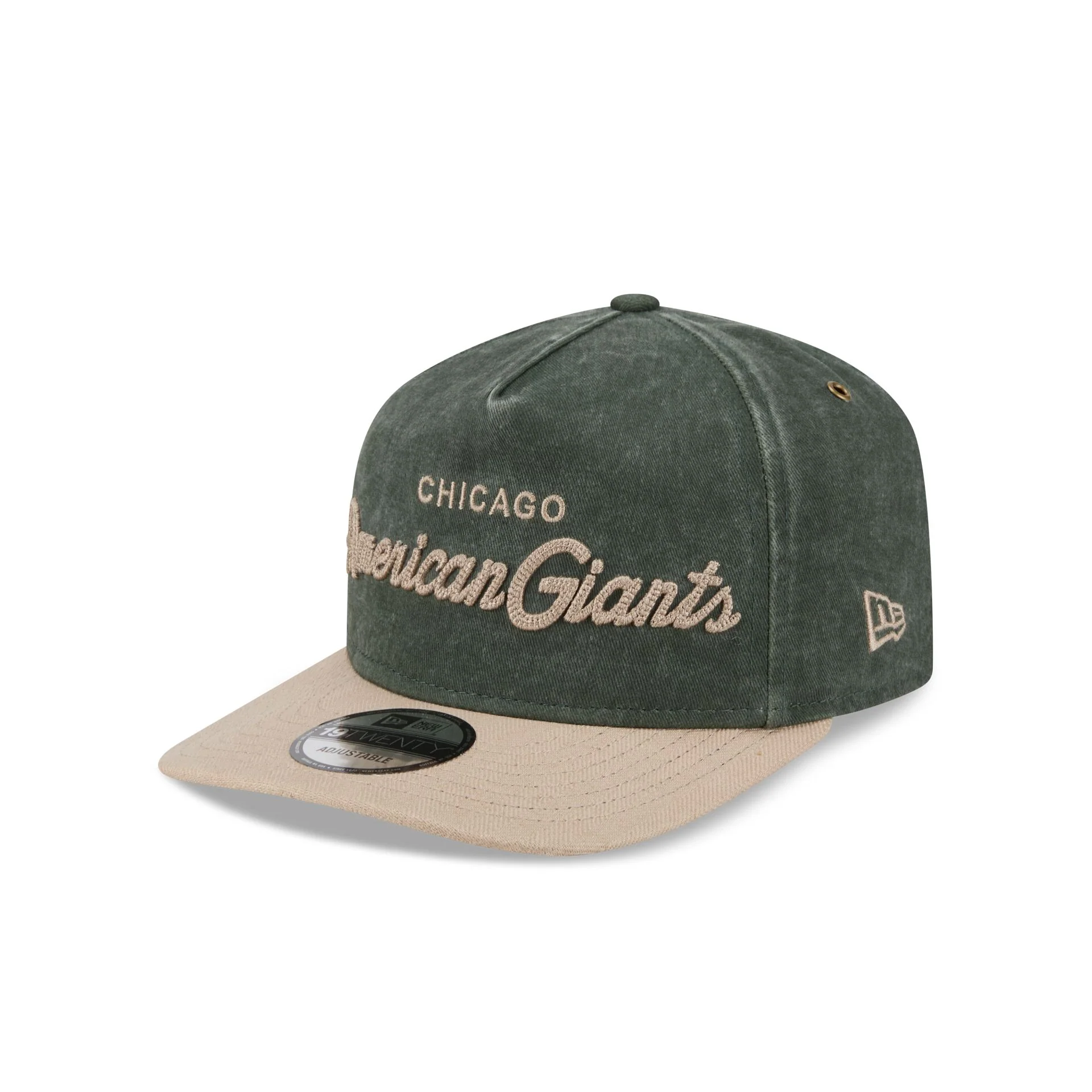 Chicago American Giants Chainstitch Dark Green 19TWENTY Adjustable Hat - Image 3