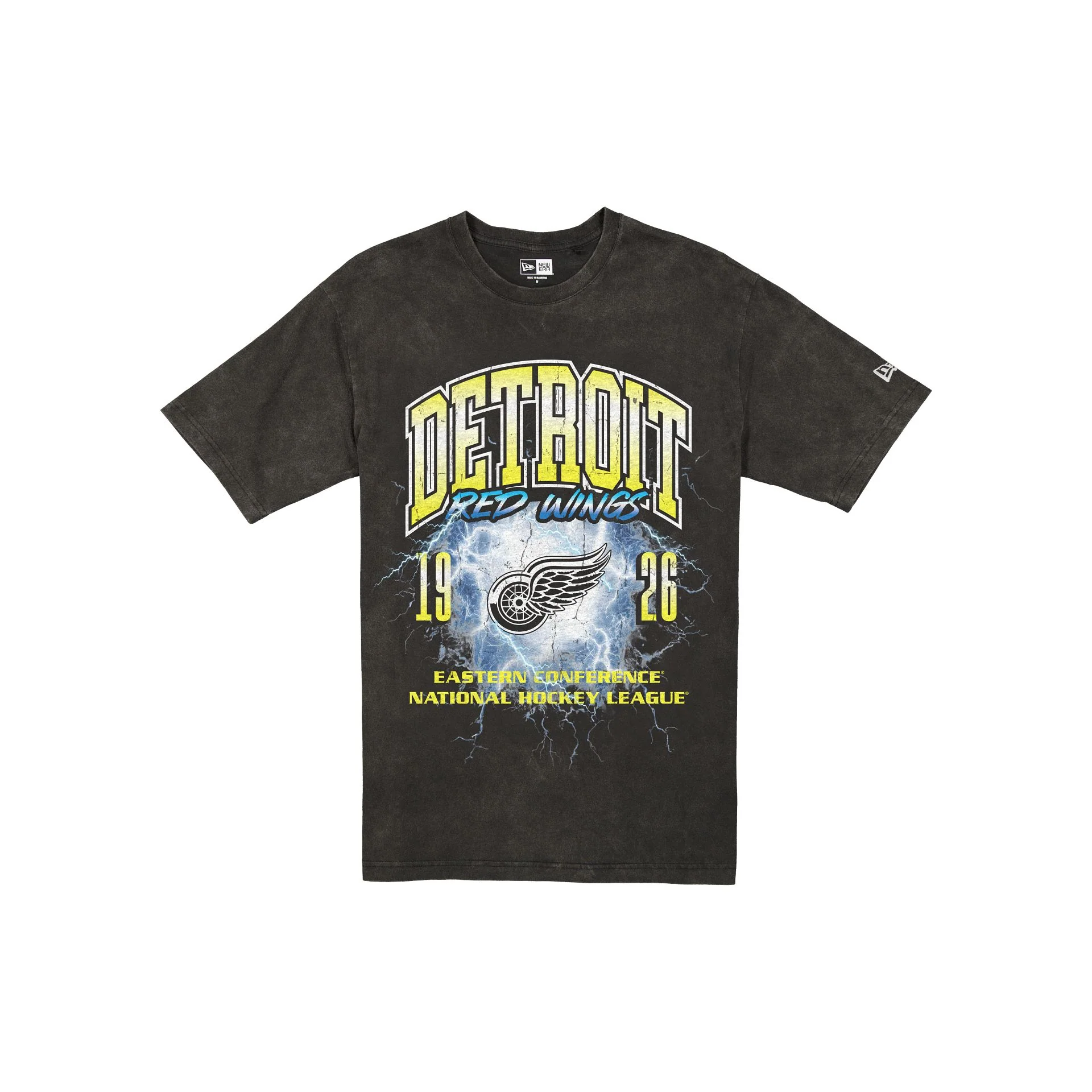 Detroit Red Wings Lifestyle Graphics Storm Black T-Shirt