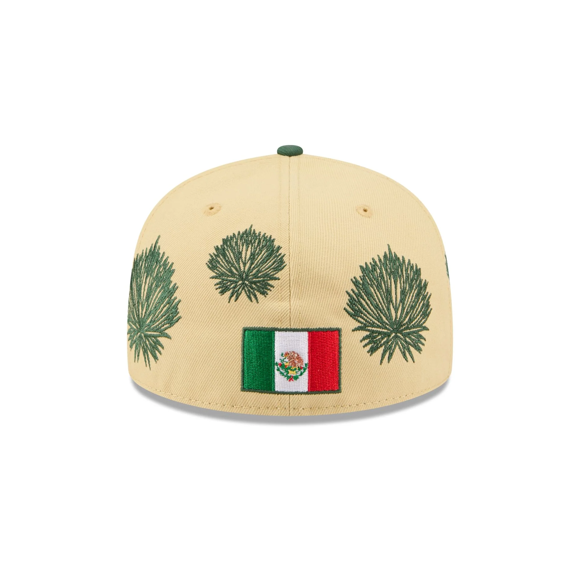 Houston Astros Agave 59FIFTY Fitted Hat - Image 6