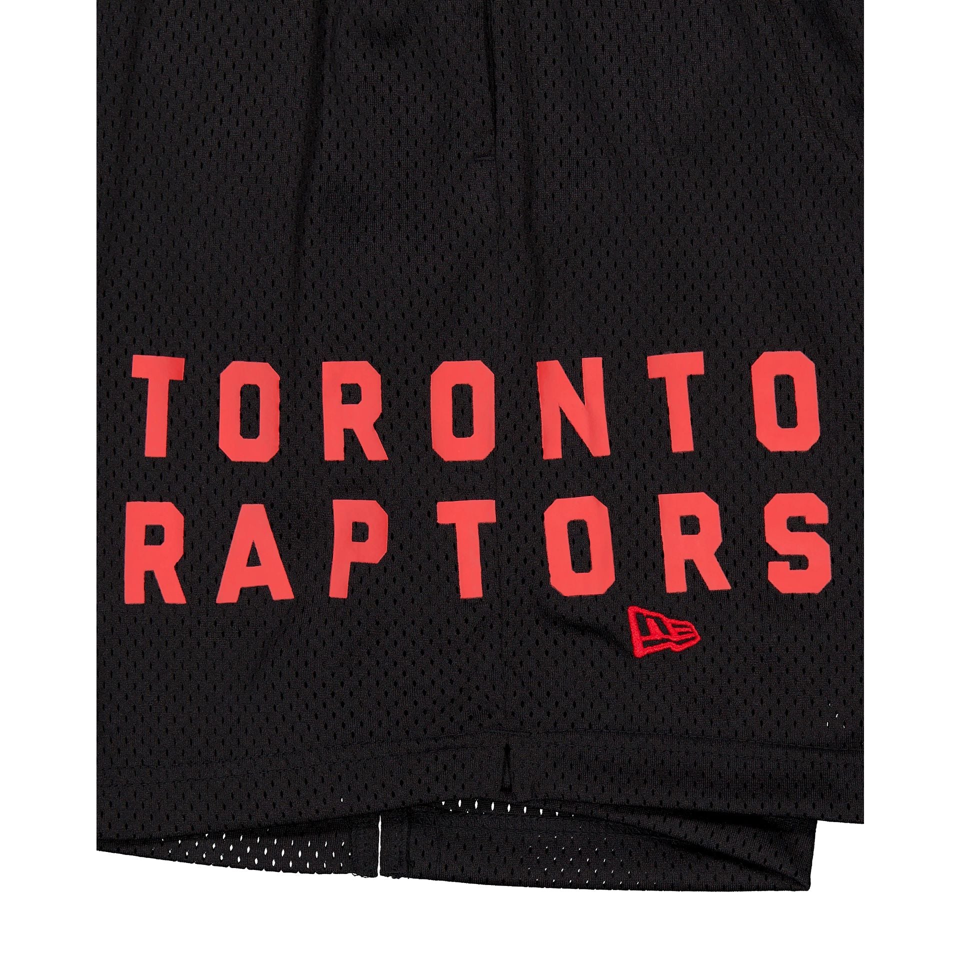 Toronto Raptors Mesh Shorts - Image 4