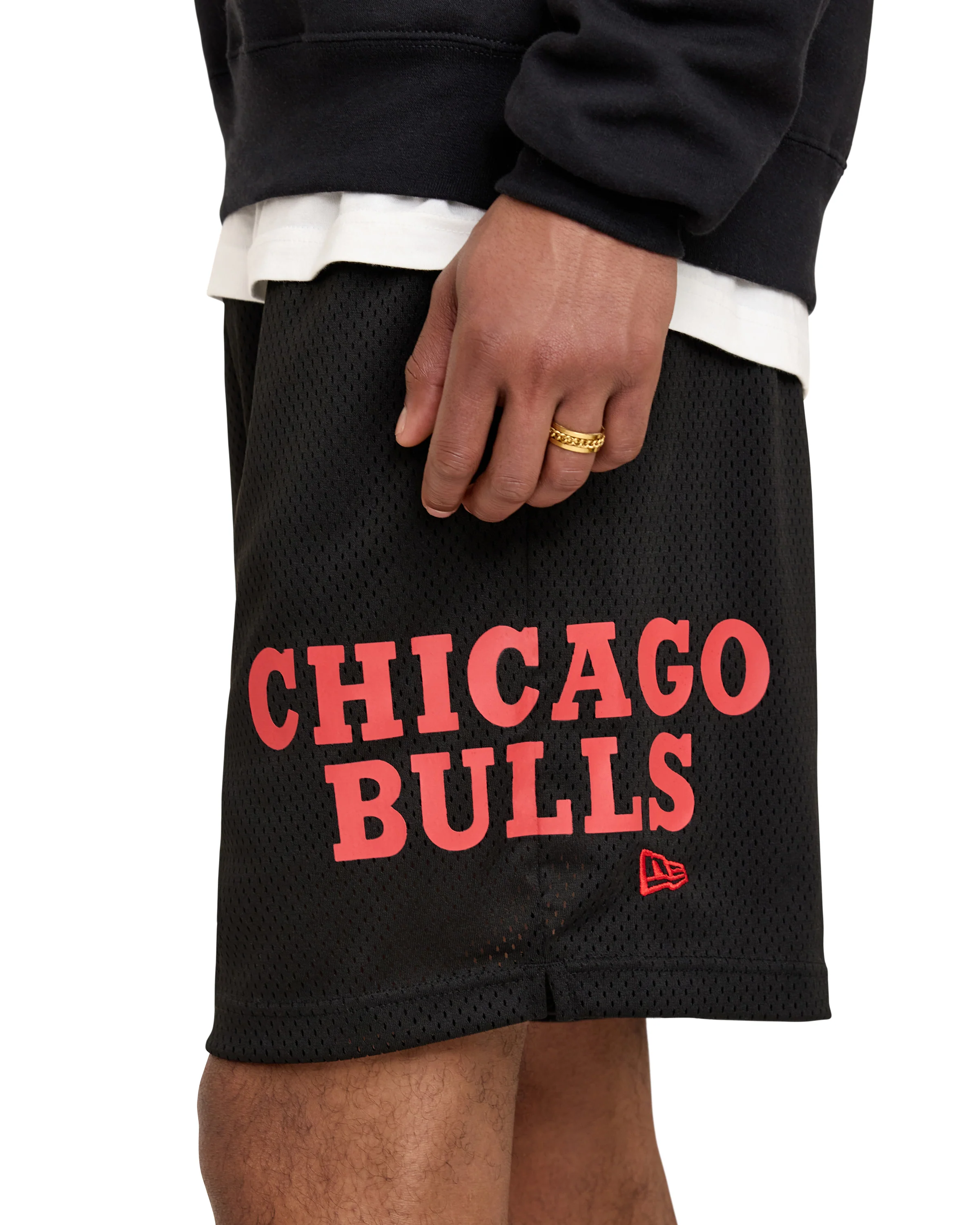 Toronto Raptors Mesh Shorts - Image 6